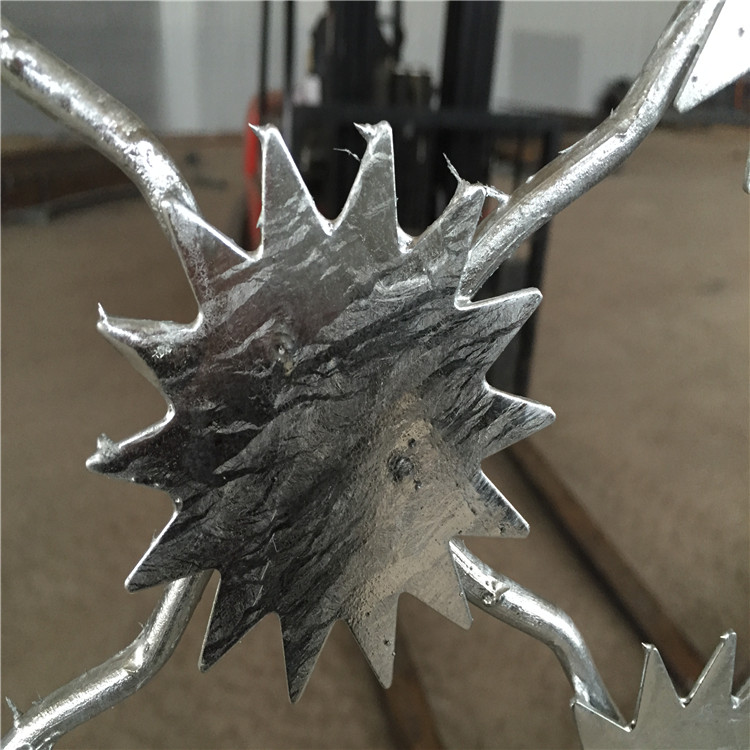 上海梅花刺片隔離網(wǎng)圖片3