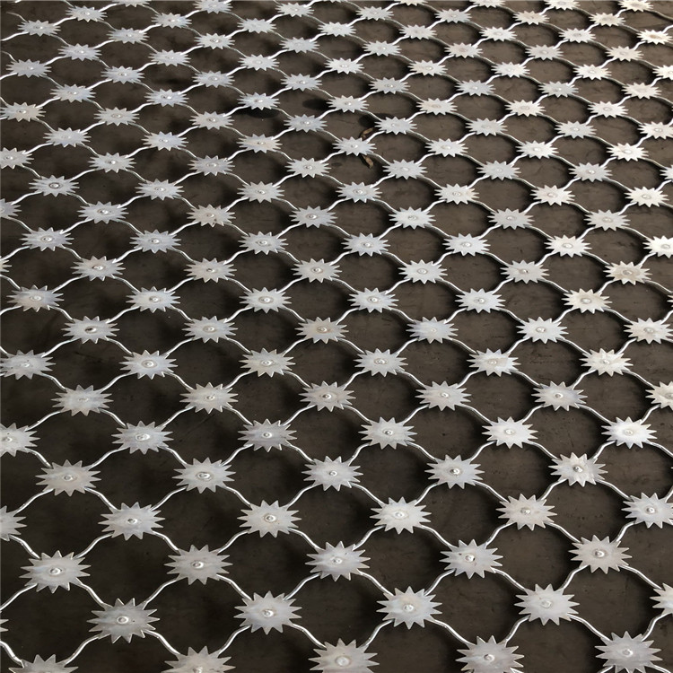 上海梅花刺片隔離網(wǎng)圖片4