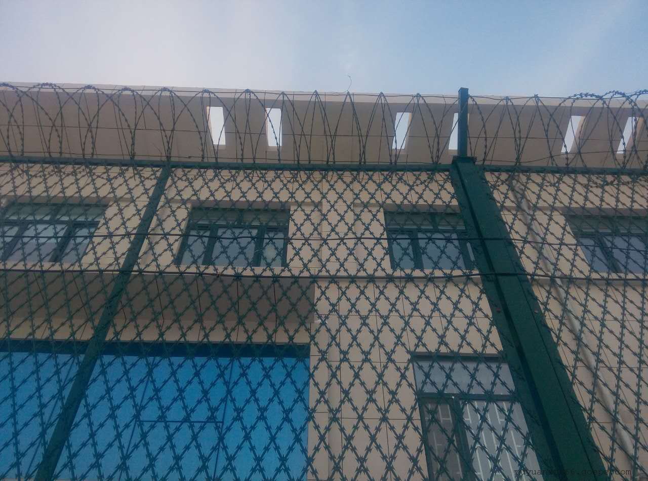 監(jiān)獄防攀爬金屬隔離網(wǎng)圖片4