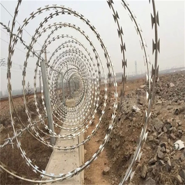 上海刺絲滾籠圖片1