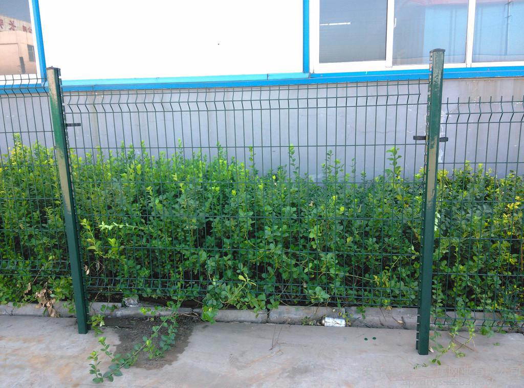 上海圍墻護欄網圖片3