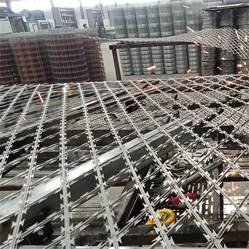 上海刀片刺網護欄圖片3