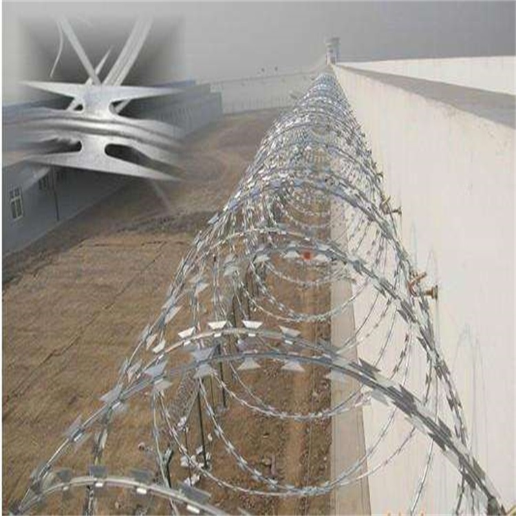 上海高鐵刺絲滾籠圖片4