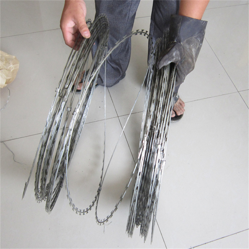 監(jiān)獄蛇腹形刀刺隔離網(wǎng)圖片2