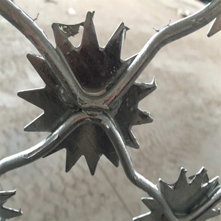 上海監(jiān)獄太陽花防爬隔離網(wǎng)圖片2