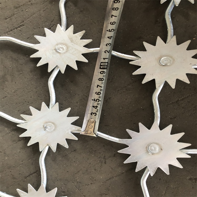 上海監(jiān)獄太陽花防爬隔離網(wǎng)圖片4