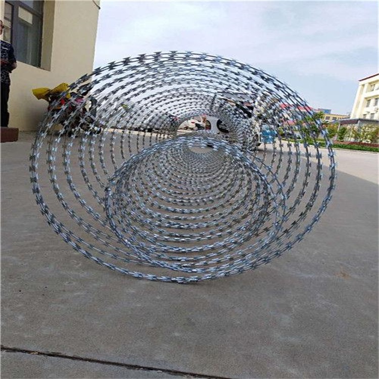 熱鍍鋅刺繩圖片4