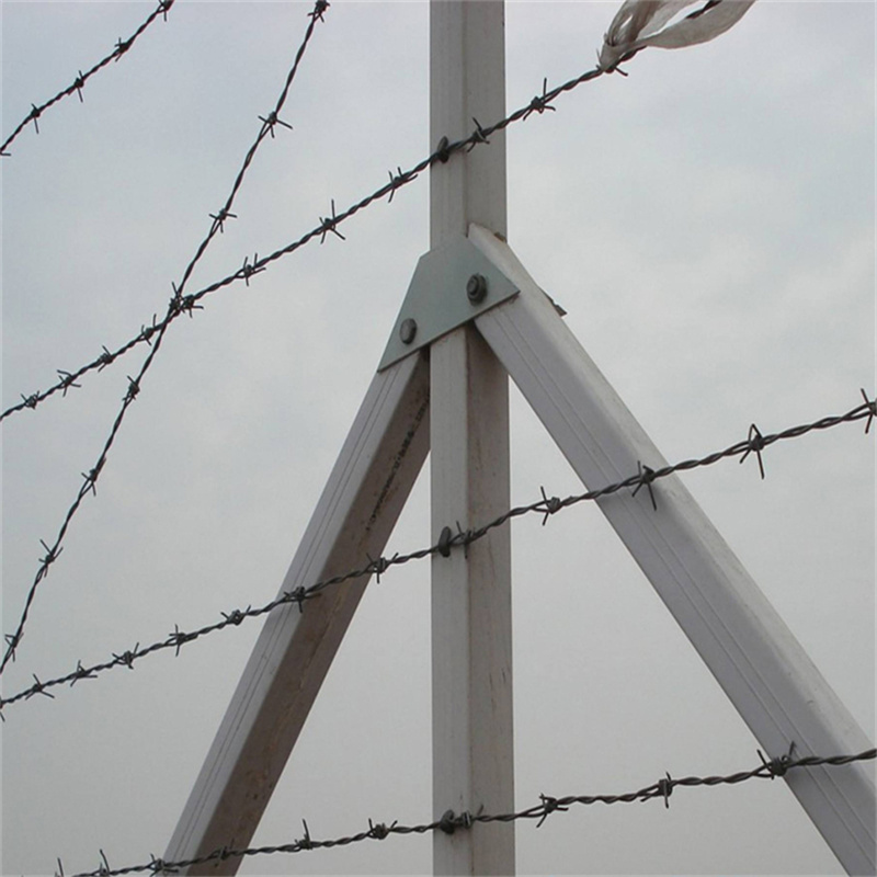 鐵蒺藜隔離網(wǎng)圖片1