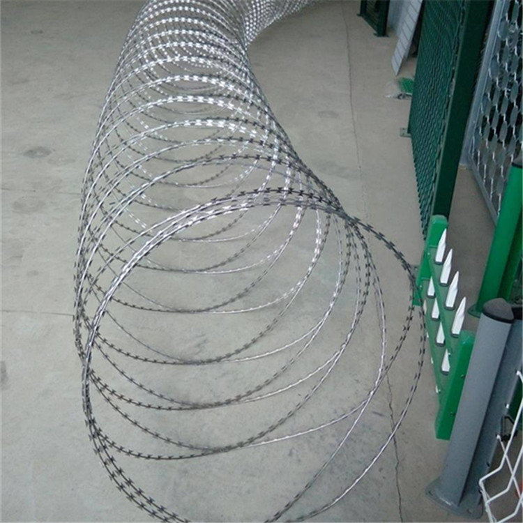 上海不銹鋼刀刺網圖片3