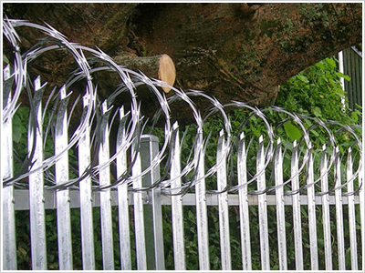 上海蛇腹型不銹鋼刀片刺網圖片2