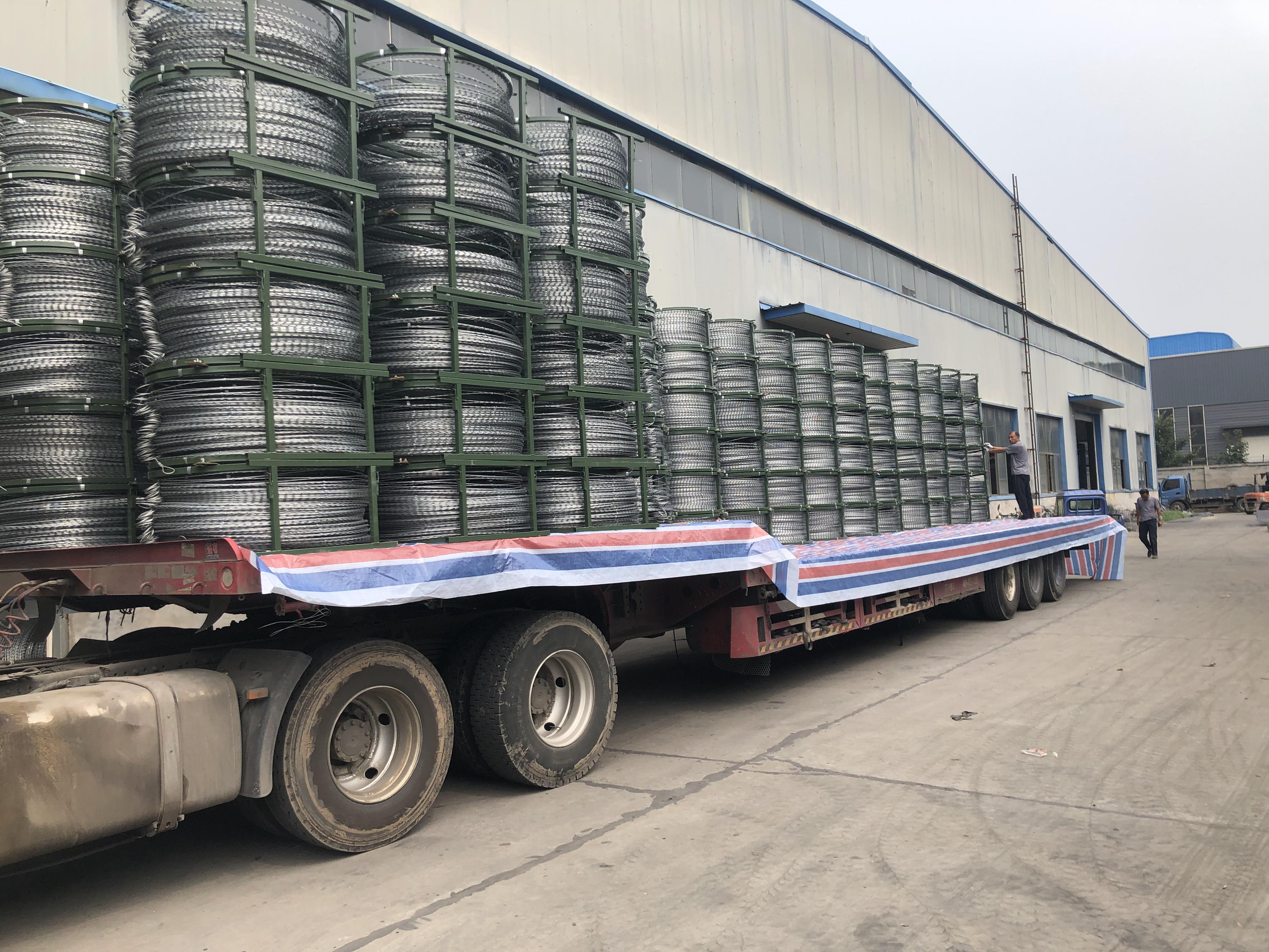 監獄專用不銹鋼刺刀圈圖片3