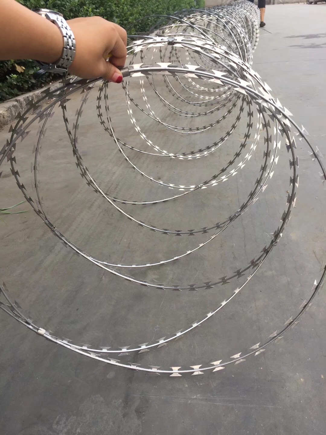 上海鐵路專用刺絲滾籠圖片4