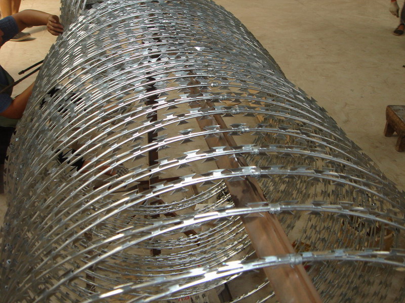 上海蛇腹式刀刺網(wǎng)鋼網(wǎng)墻圖片2