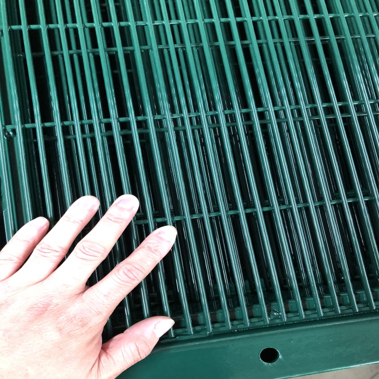 密紋網(wǎng)（358護(hù)欄）圖片4