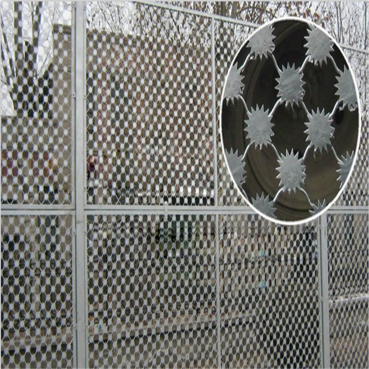 監獄梅花刺片隔離鋼網墻圖片1