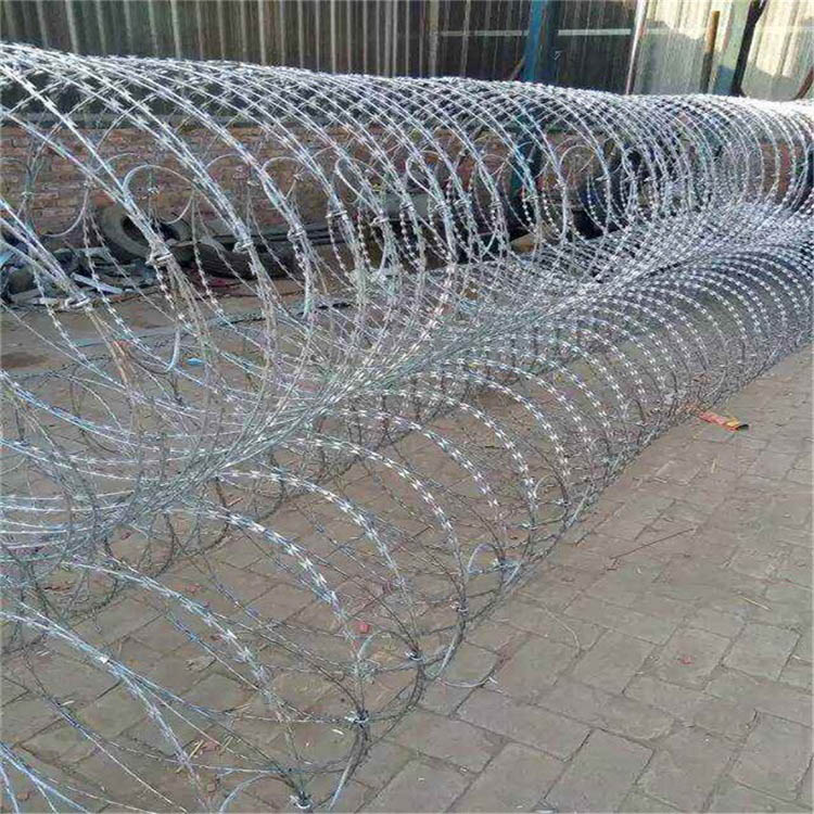 上海蛇腹型刀刺網(wǎng)圖片2