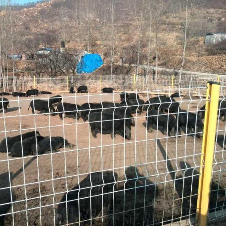 上海菜園果園圍養殖圍欄防牲畜護欄網圖片1