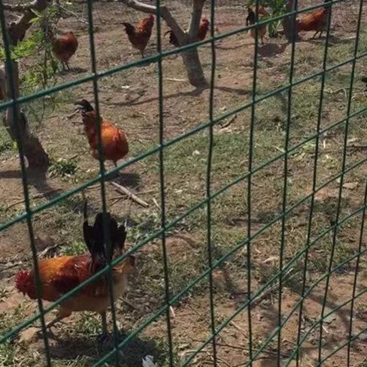 上海菜園果園圍養殖圍欄防牲畜護欄網圖片2